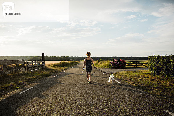 Mädchen Spaziergang mit Hund auf der Landstraße mit Miniatur-Windkraftanlage
