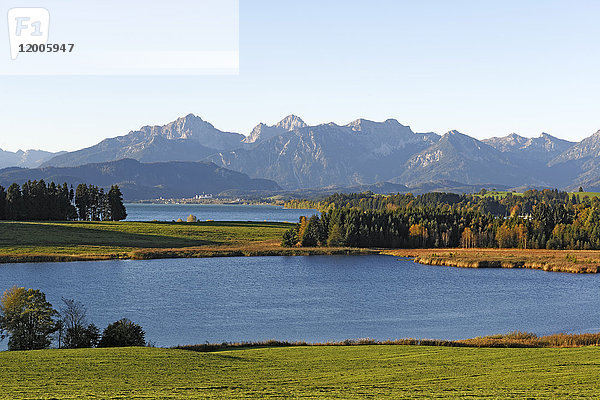 Deutschland  Bayern  Allgäu  Forggensee und Illasbergsee