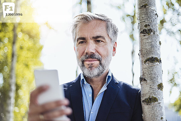 Porträt eines Geschäftsmannes am Baum  der sein Handy überprüft.