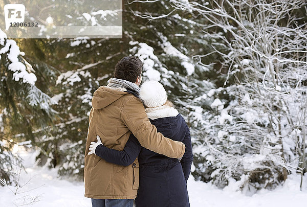 Rückansicht des glücklichen jungen Paares Arm in Arm im verschneiten Winterwald