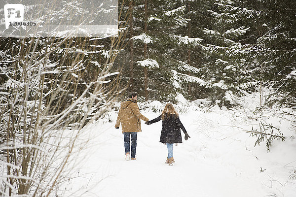 Rückansicht eines jungen Paares  das in der Winterlandschaft Hand in Hand geht.