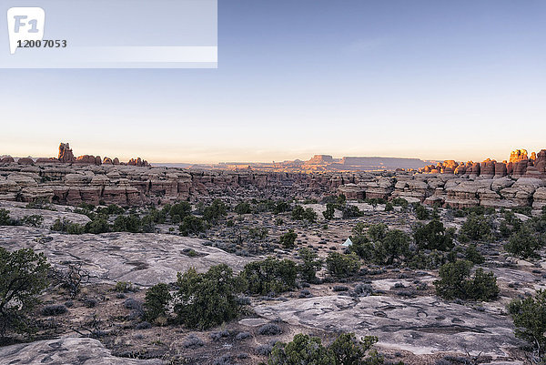 Sonnenuntergang in der Wüste  Moab  Utah  Vereinigte Staaten