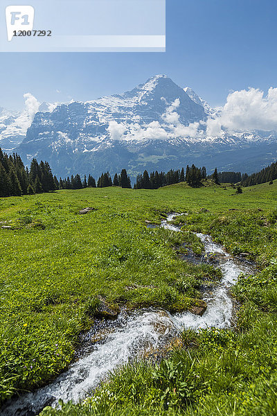 Bach im Feld in der Nähe der Berge