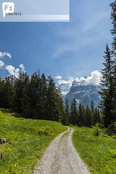 Schotterweg in Richtung Berge