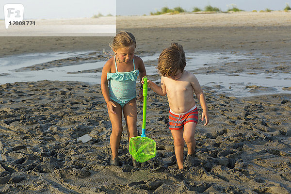 Kaukasischer Bruder und Schwester tragen Netz am Strand