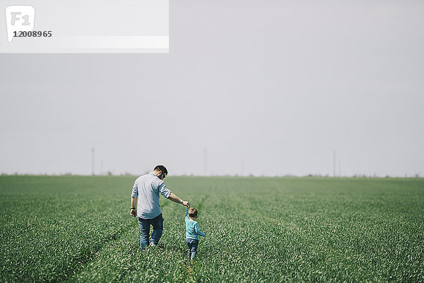 Kaukasischer Vater und Sohn halten sich an den Händen und gehen in einem Feld spazieren