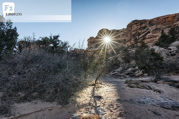 Sonnenstrahl in der Wüste  Moab  Utah  Vereinigte Staaten