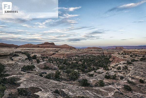 Wolken am blauen Himmel über der Wüste  Moab  Utah  Vereinigte Staaten