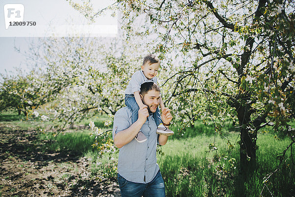 Kaukasischer Vater und Sohn gehen in der Nähe eines Baumes