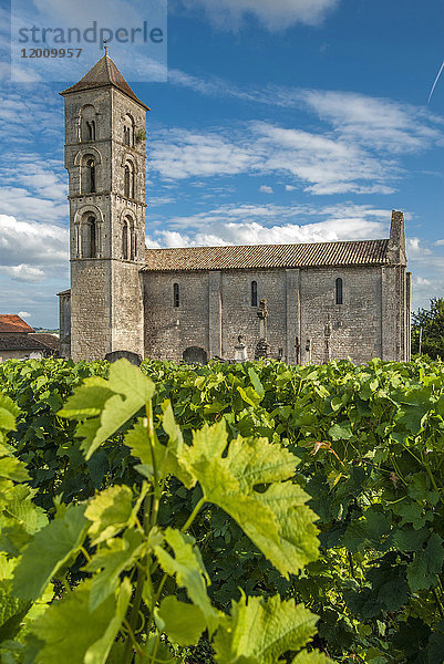 Frankreich  Gironde  Montagne  Kirche von St. Georges im Weinberg AOC St. Georges-St. Emilion