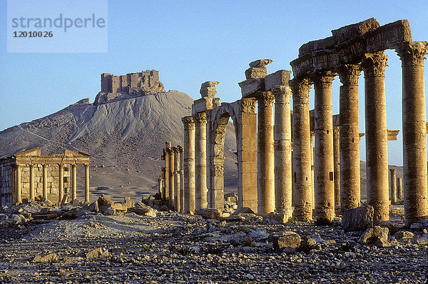 Syrien  Palmyra  archäologische Stätte (UNESCO-Welterbe)  arabische Zitadelle im Hintergrund