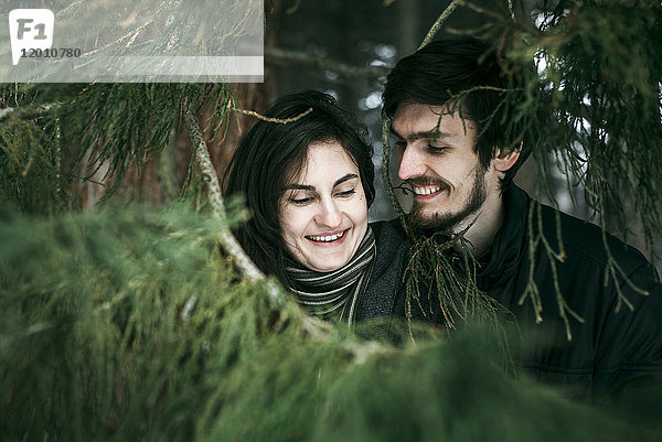 Kaukasisches Paar lächelnd in der Nähe von Baum