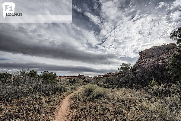 Wolken über Pfad in Wüste  Moab  Utah  Vereinigte Staaten