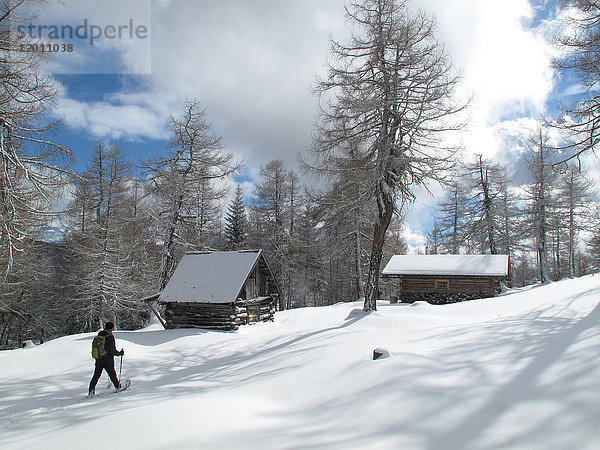 Österreich  Nordtirol Stubaier Alpen  Eulenwiesen  ein einsamer Mann wandert mit Schneestiefeln im Neuschnee zu 2 kleinen Holzhütten in einem Lärchenwald