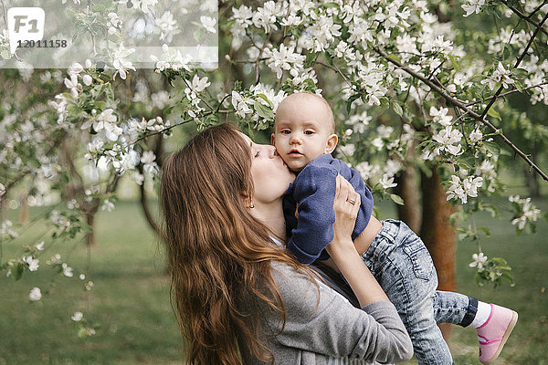 Mutter aus dem Nahen Osten küsst ihren Sohn unter einem blühenden Baum