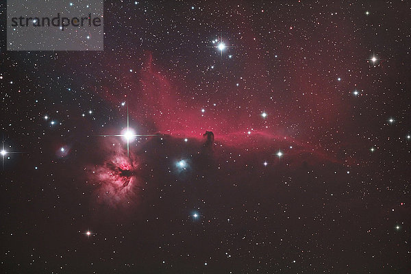 Seine und Marne. Sternbild des Orion. Das Pferdegeschirr des Orion. Eintauchen in das Herz des Nebels der Flamme und des Pferdekopfes.