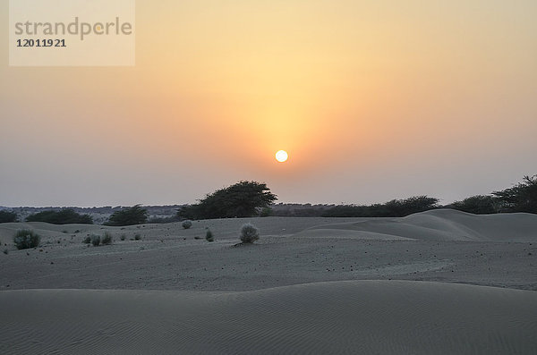 Sonnenuntergang über der Wüste  Rajasthan  Indien.