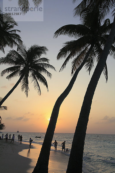 Malediven  Insel Maafushi  Sonnenuntergang  Palmen  Strand