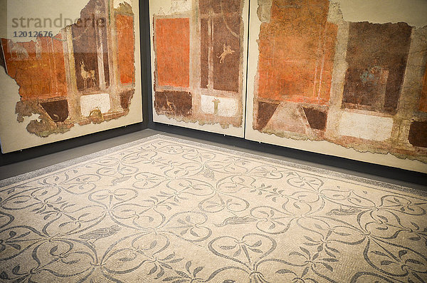 Klassische römische Freskenfragmente und Mosaikboden  Palazzo Massimo alle Terme  Rom  Italien.