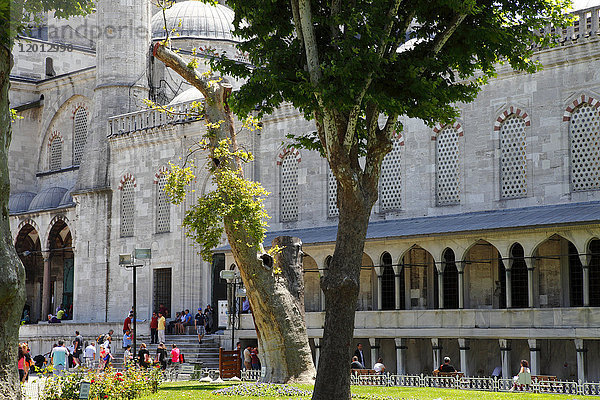 Türkei  Istanbul  Gemeinde Fatih  Bezirk Sultanahmet  Sultanahmet-Moschee (Blaue Moschee)