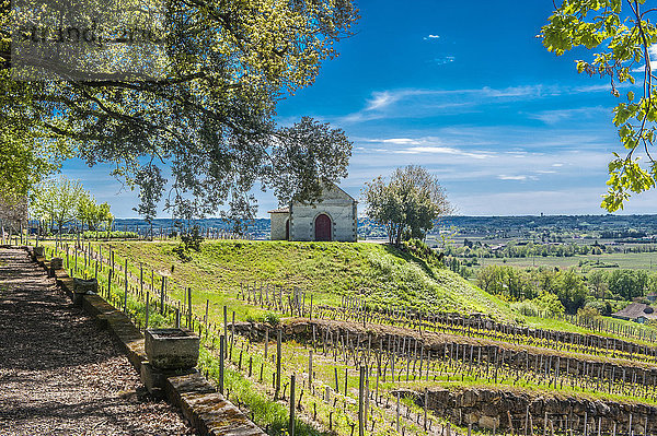 Frankreich  Gironde  Region St. Emilion  Park und Weinberg des Chateau de Pressac in der AOC St. Emilion (UNESCO-Welterbe)