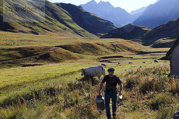 Frankreich  Nouvelle Aquitaine  Departement Pyrenees-Atlantiques (64)  Bearn-Land  Nationalpark Pyrenäen in der Nähe des Bergpasses Pourtalet (Kreis Aneou)