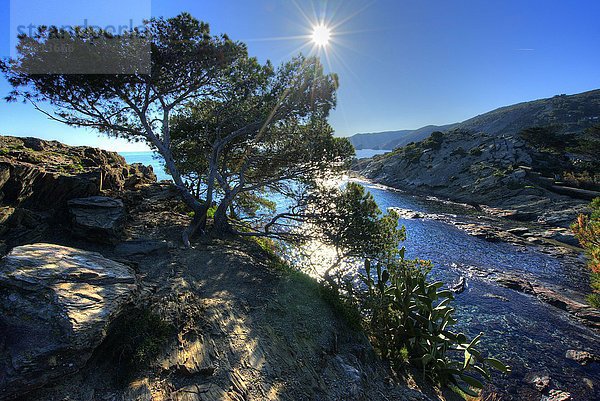 Europa Espagne Catalogne Costa Brava Cadaques Die Bucht von Cadaques.