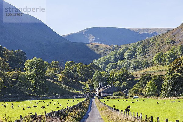 England  Cumbria  Lake District  Ullswater  Bauernhof in Glenridding