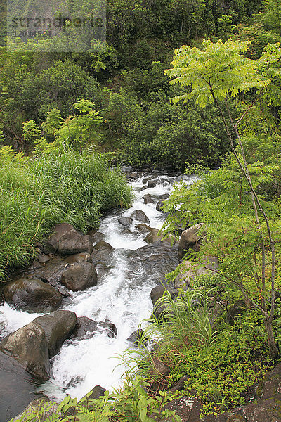 Hawaii  Maui  Iao Valley  State Park