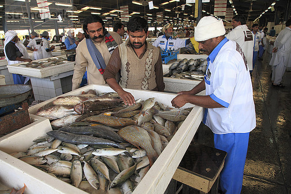 Vereinigte Arabische Emirate  Dubai  Deira  Fischmarkt