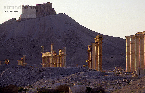 Syrien  Palmyra  archäologische Stätte (UNESCO-Welterbe) arabische Zitadelle im Hintergrund