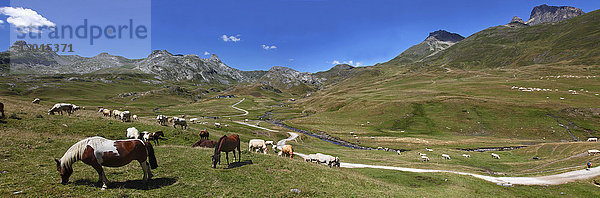 Frankreich  Nouvelle Aquitaine  Departement Pyrenees-Atlantiques (64)  Bearn-Land  Nationalpark Pyrenäen in der Nähe des Bergpasses Pourtalet (Kreis Aneou)