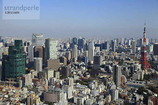 Japan  Tokio  Skyline  Gesamtansicht aus der Luft