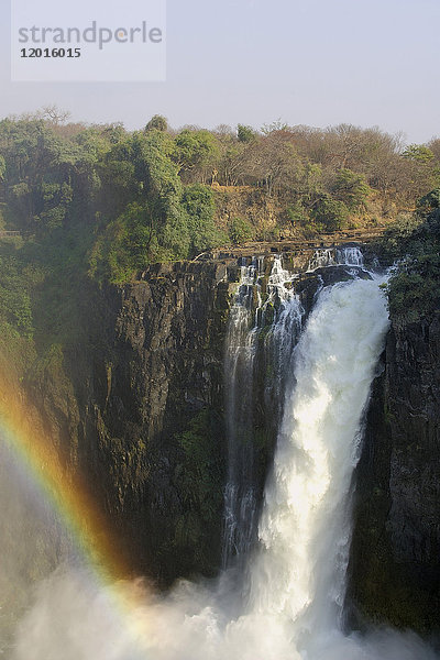 Afrika  Südliches Afrika  Simbabwe  Provinz nördlich von Matabeleland  Victoriafälle  Nationalpark ( Mosi-Oa-Tunya)