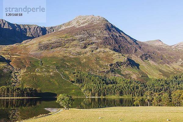 England  Cumbria  Lake District  Buttermere