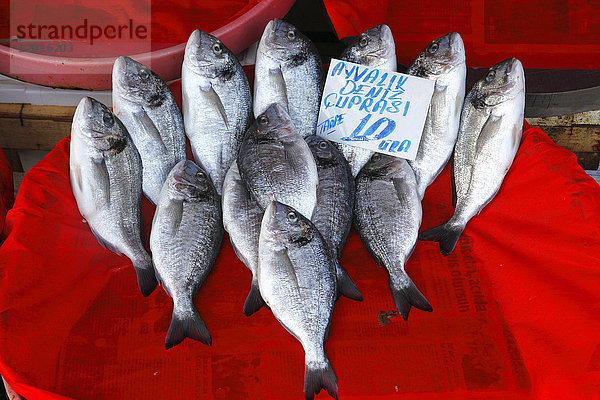 Türkei  Istanbul (Stadtbezirk Beyoglu) Fischmarkt