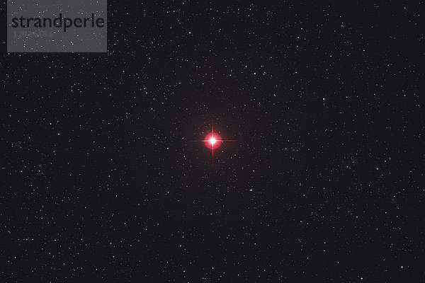 Seine und Marne. Sternbild des Orion. Nahaufnahme des prächtigen Sterns Betelgeuse  einer der größten Sterne überhaupt. Seine rote Farbe ist typisch. Seine Entfernung wird auf 500 Lichtjahre geschätzt.