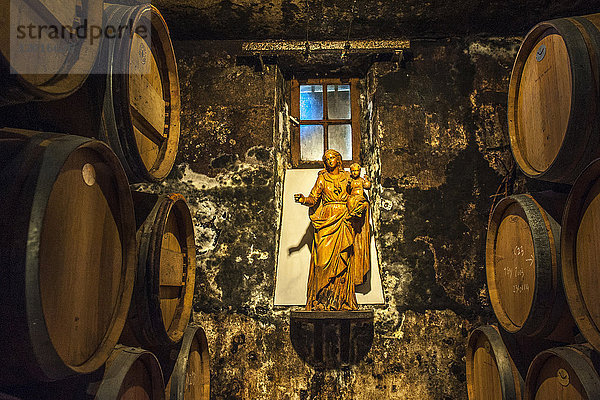 Frankreich  Gironde  Medoc  Weinkeller des Chateau La Tour-de-By  Holzstatue einer Madonna mit Kind
