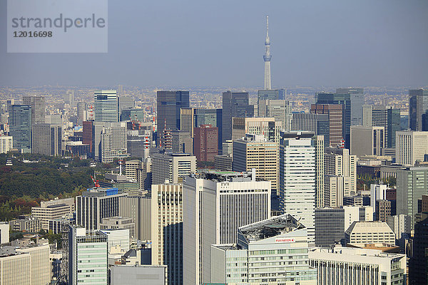Japan  Tokio  Skytree  Skyline  Gesamtansicht aus der Luft