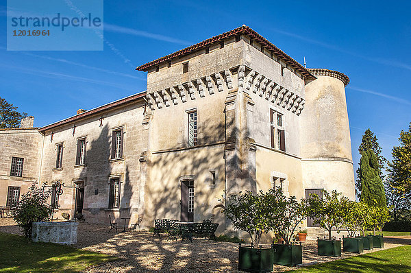 Frankreich  Gironde  Chateau de Carles (16. Jahrhundert)  Weinberg AOC Fronsac