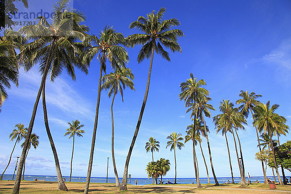 Hawaii  Oahu  Waikiki  Strand  Palmen  Menschen