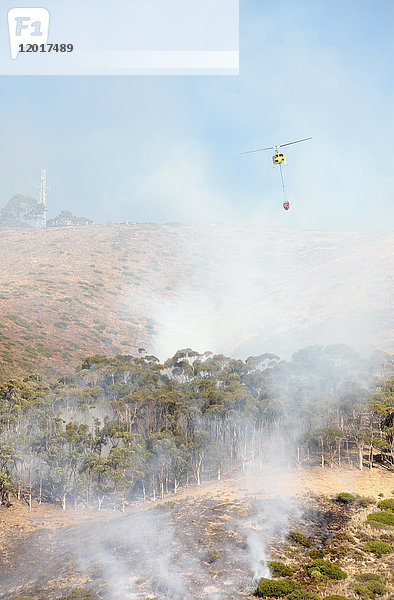 Hubschrauber wirft Wasser auf Waldbrand ab