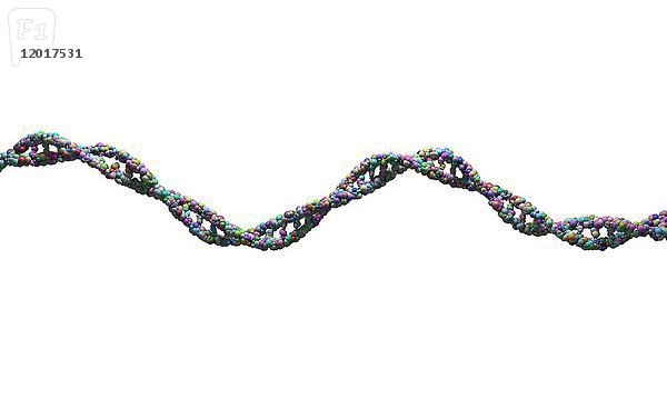 DNA-Strang vor weißem Hintergrund  Illustration