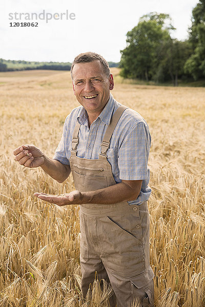 Porträt eines glücklichen Bauern  der Weizen hält  während er auf dem Feld steht.