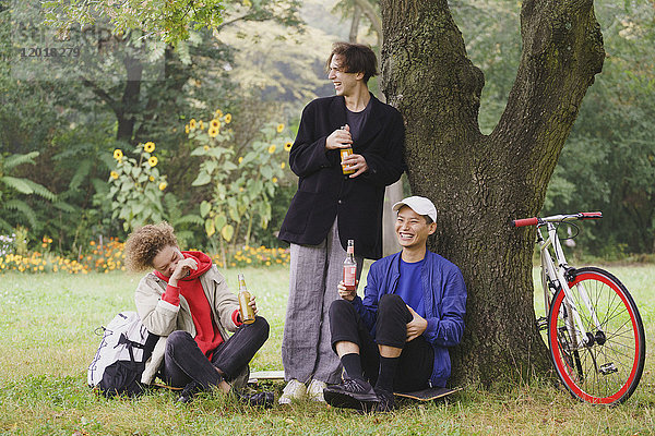 Fröhliche Freunde trinken Saft  während sie sich unter einem Baum auf einem Wiesenfeld im Park entspannen.