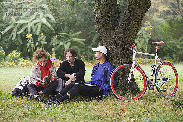 Freunde entspannen sich unter dem Baum mit dem Fahrrad auf einer Wiese im Park.
