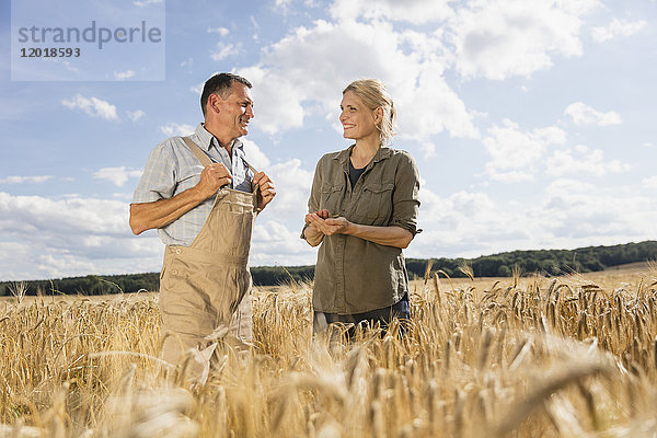 Ein glückliches  reifes Paar  das inmitten von Getreide auf dem Bauernhof gegen den Himmel redet.