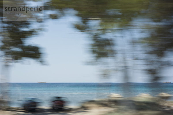 Verschwommene Bewegung der Bäume am Strand gegen den klaren Himmel