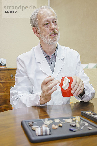 Arzt mit anatomischem Modell und Hörgeräten erklärt am Tisch in der Klinik