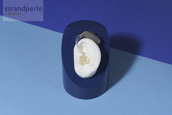 Nahaufnahme des anatomischen Modells mit Hörgerät am blauen Tisch